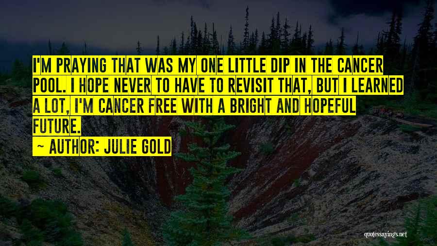 Julie Gold Quotes: I'm Praying That Was My One Little Dip In The Cancer Pool. I Hope Never To Have To Revisit That,