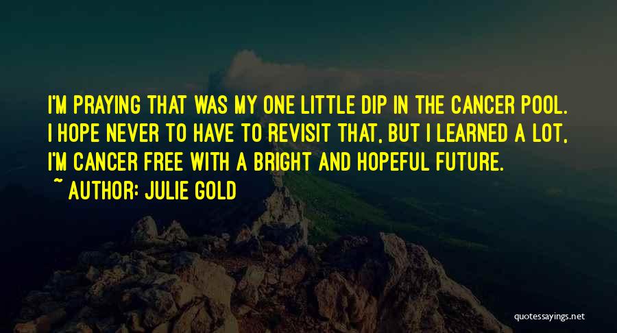 Julie Gold Quotes: I'm Praying That Was My One Little Dip In The Cancer Pool. I Hope Never To Have To Revisit That,