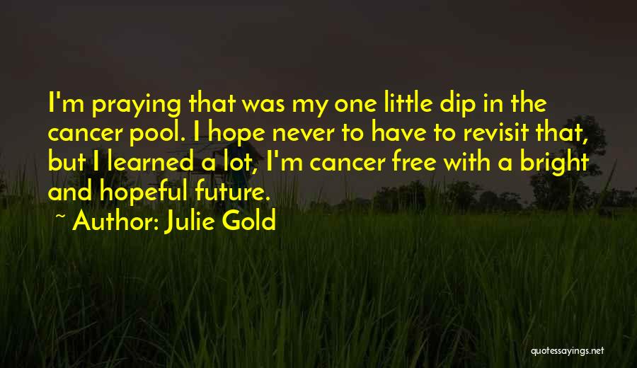 Julie Gold Quotes: I'm Praying That Was My One Little Dip In The Cancer Pool. I Hope Never To Have To Revisit That,