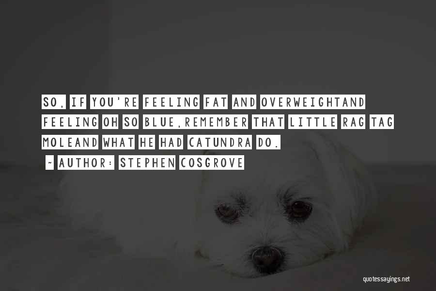 Stephen Cosgrove Quotes: So, If You're Feeling Fat And Overweightand Feeling Oh So Blue,remember That Little Rag Tag Moleand What He Had Catundra