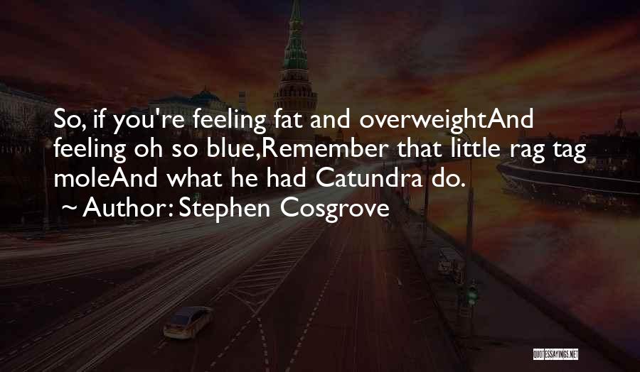 Stephen Cosgrove Quotes: So, If You're Feeling Fat And Overweightand Feeling Oh So Blue,remember That Little Rag Tag Moleand What He Had Catundra