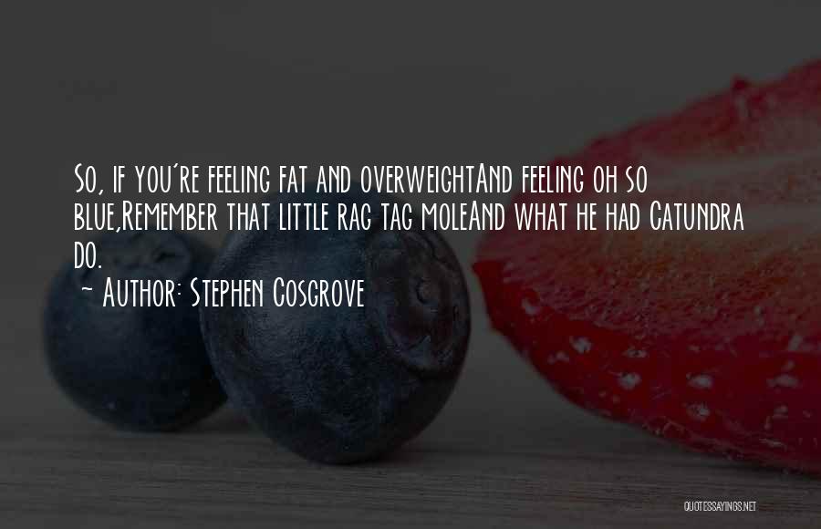 Stephen Cosgrove Quotes: So, If You're Feeling Fat And Overweightand Feeling Oh So Blue,remember That Little Rag Tag Moleand What He Had Catundra