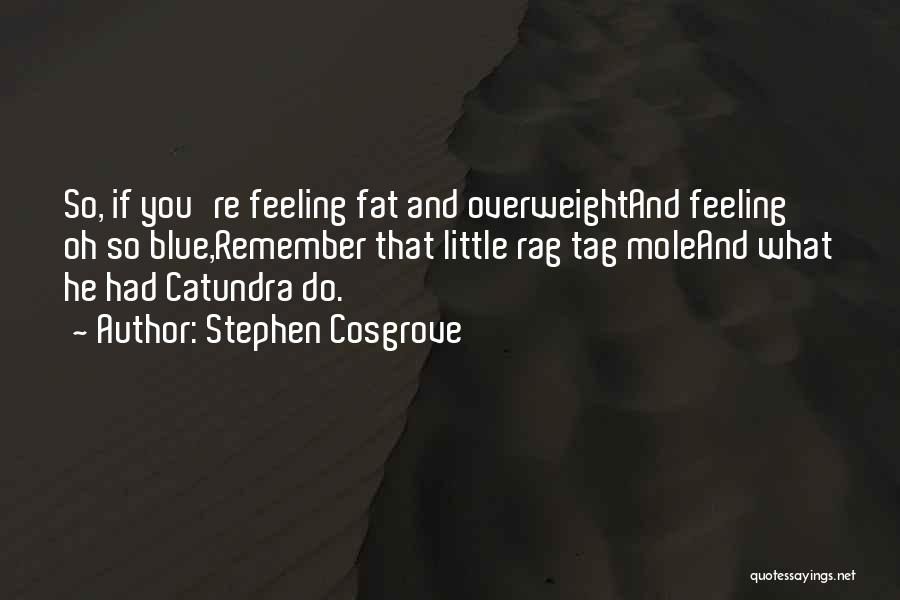 Stephen Cosgrove Quotes: So, If You're Feeling Fat And Overweightand Feeling Oh So Blue,remember That Little Rag Tag Moleand What He Had Catundra