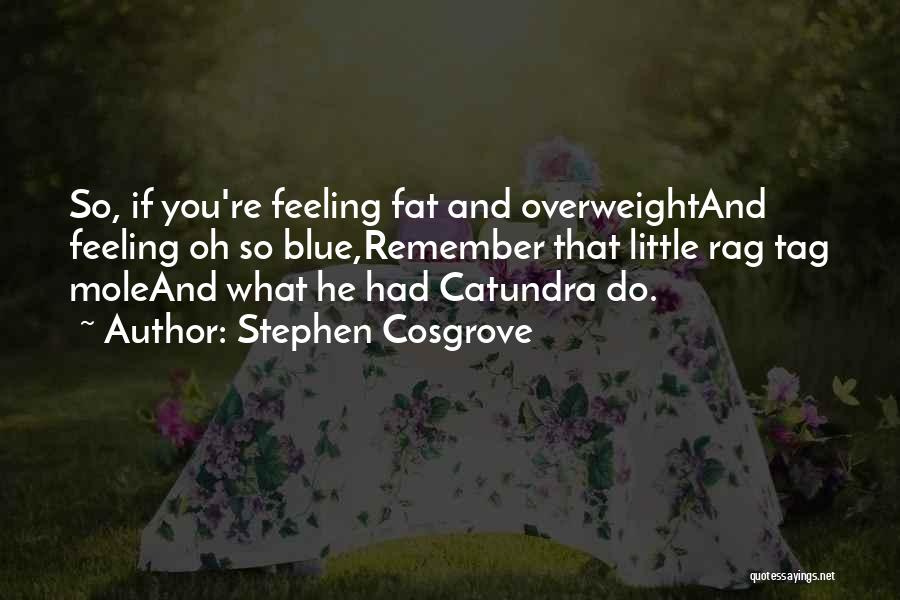 Stephen Cosgrove Quotes: So, If You're Feeling Fat And Overweightand Feeling Oh So Blue,remember That Little Rag Tag Moleand What He Had Catundra