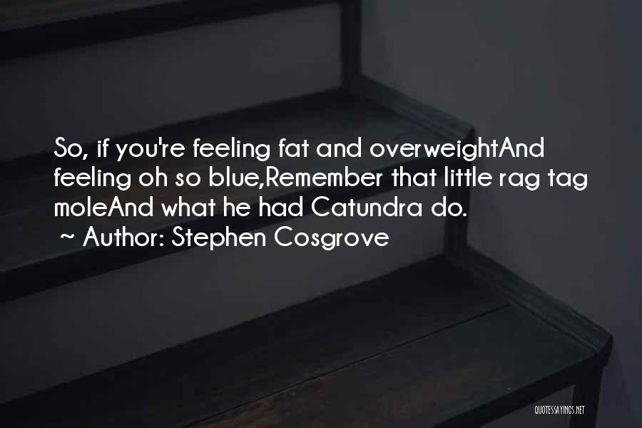 Stephen Cosgrove Quotes: So, If You're Feeling Fat And Overweightand Feeling Oh So Blue,remember That Little Rag Tag Moleand What He Had Catundra