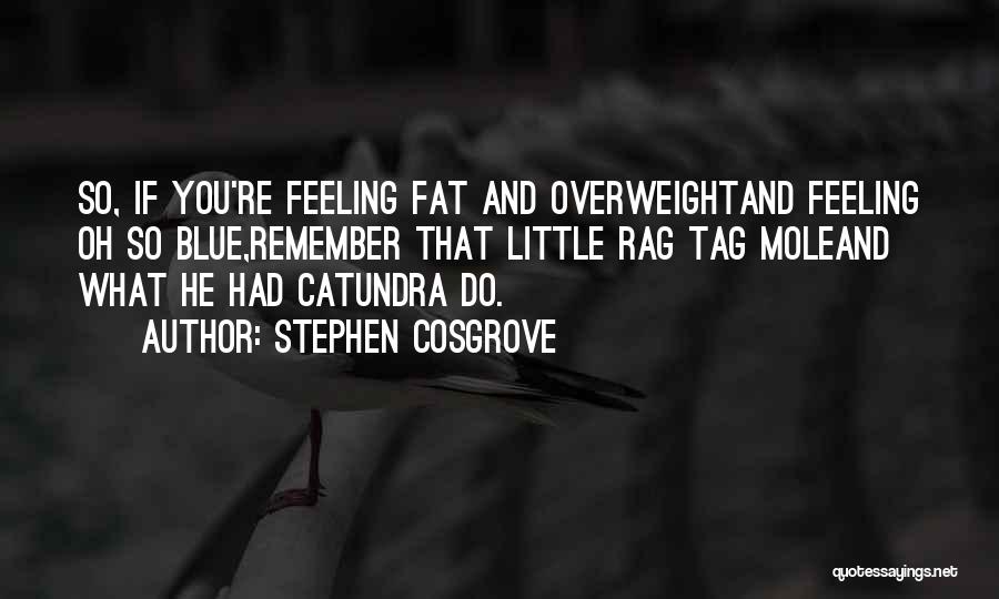 Stephen Cosgrove Quotes: So, If You're Feeling Fat And Overweightand Feeling Oh So Blue,remember That Little Rag Tag Moleand What He Had Catundra