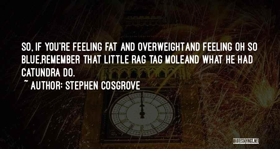 Stephen Cosgrove Quotes: So, If You're Feeling Fat And Overweightand Feeling Oh So Blue,remember That Little Rag Tag Moleand What He Had Catundra