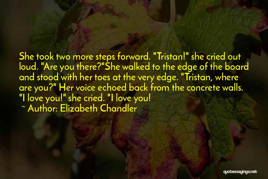 Elizabeth Chandler Quotes: She Took Two More Steps Forward. Tristan! She Cried Out Loud. Are You There?she Walked To The Edge Of The