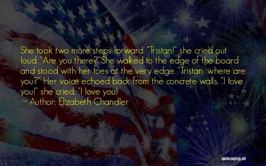 Elizabeth Chandler Quotes: She Took Two More Steps Forward. Tristan! She Cried Out Loud. Are You There?she Walked To The Edge Of The