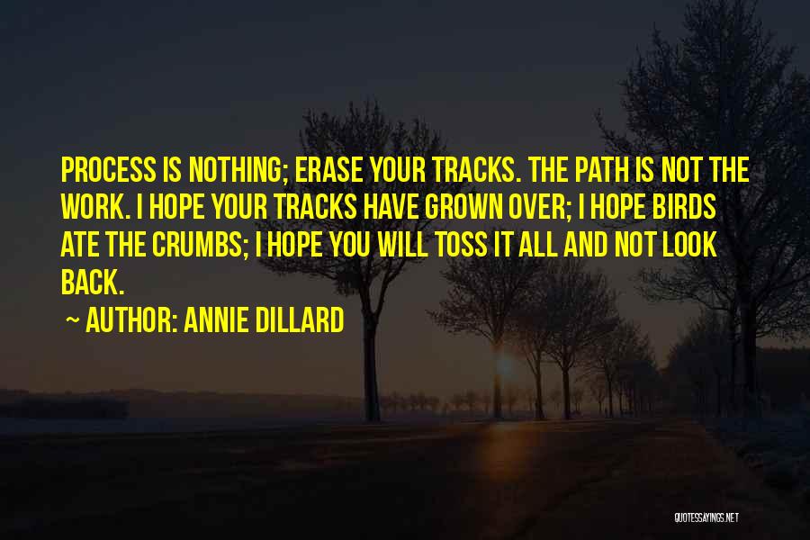 Annie Dillard Quotes: Process Is Nothing; Erase Your Tracks. The Path Is Not The Work. I Hope Your Tracks Have Grown Over; I