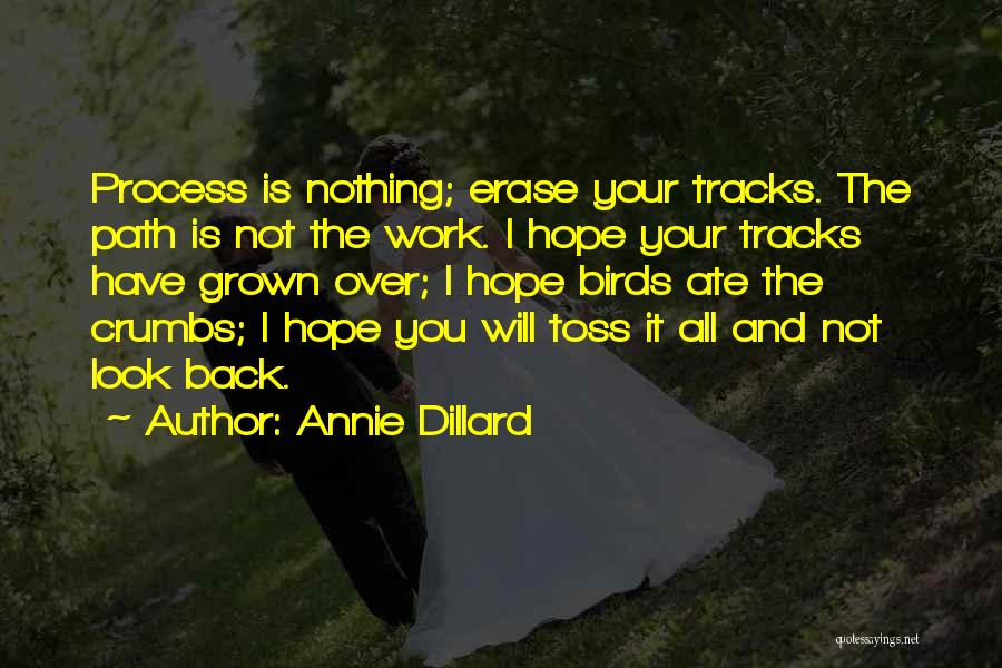 Annie Dillard Quotes: Process Is Nothing; Erase Your Tracks. The Path Is Not The Work. I Hope Your Tracks Have Grown Over; I