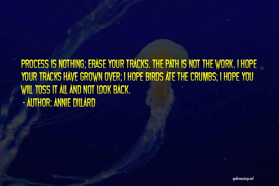 Annie Dillard Quotes: Process Is Nothing; Erase Your Tracks. The Path Is Not The Work. I Hope Your Tracks Have Grown Over; I