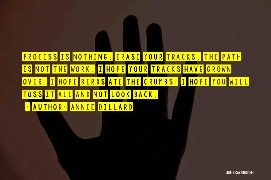 Annie Dillard Quotes: Process Is Nothing; Erase Your Tracks. The Path Is Not The Work. I Hope Your Tracks Have Grown Over; I