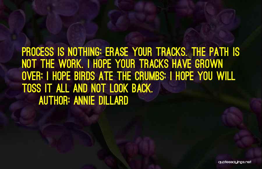 Annie Dillard Quotes: Process Is Nothing; Erase Your Tracks. The Path Is Not The Work. I Hope Your Tracks Have Grown Over; I