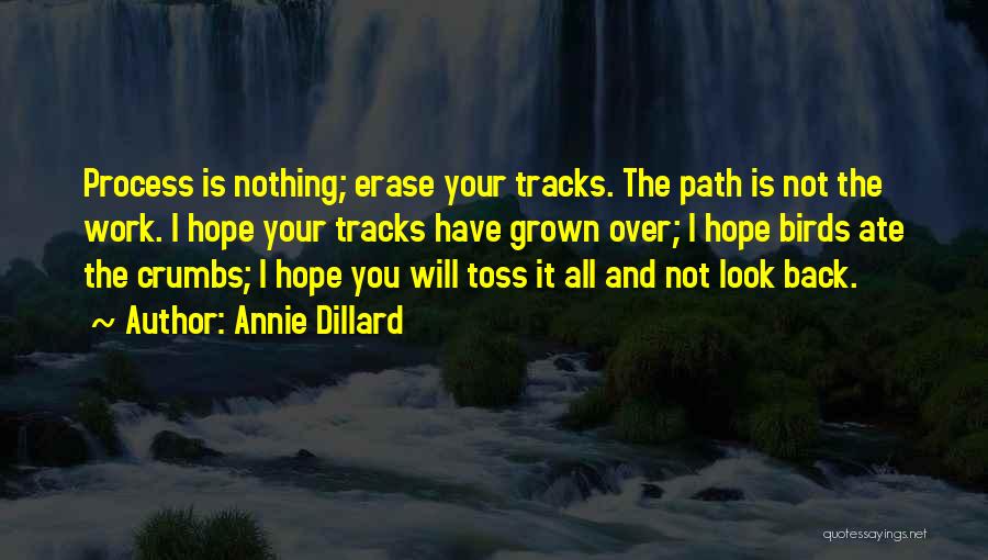 Annie Dillard Quotes: Process Is Nothing; Erase Your Tracks. The Path Is Not The Work. I Hope Your Tracks Have Grown Over; I