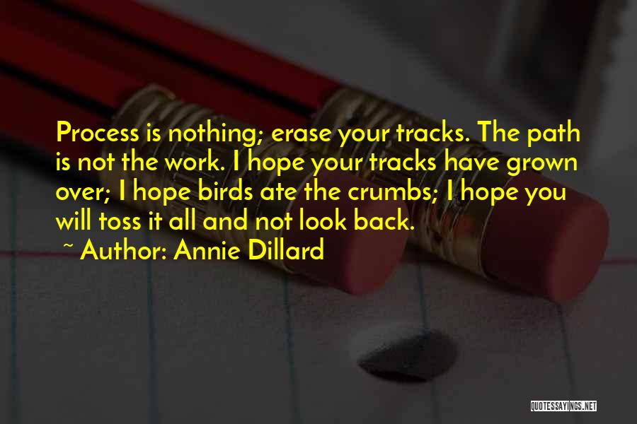 Annie Dillard Quotes: Process Is Nothing; Erase Your Tracks. The Path Is Not The Work. I Hope Your Tracks Have Grown Over; I