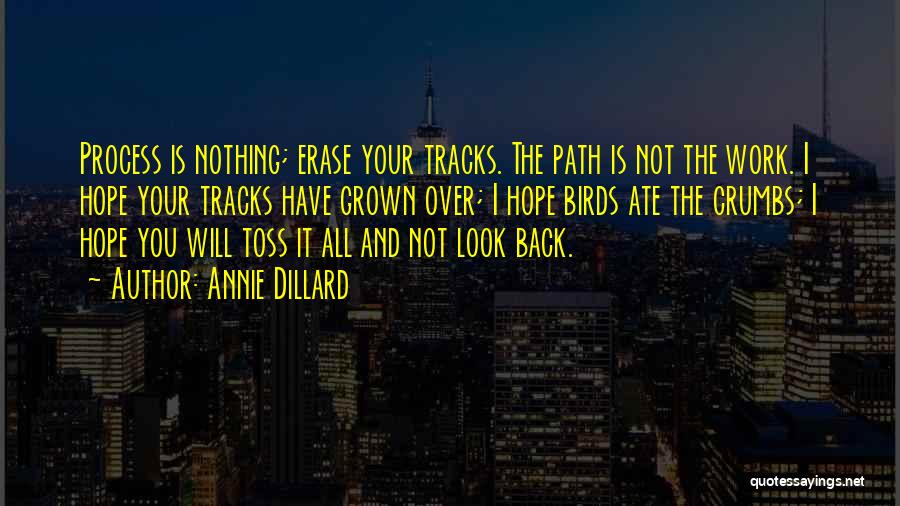 Annie Dillard Quotes: Process Is Nothing; Erase Your Tracks. The Path Is Not The Work. I Hope Your Tracks Have Grown Over; I