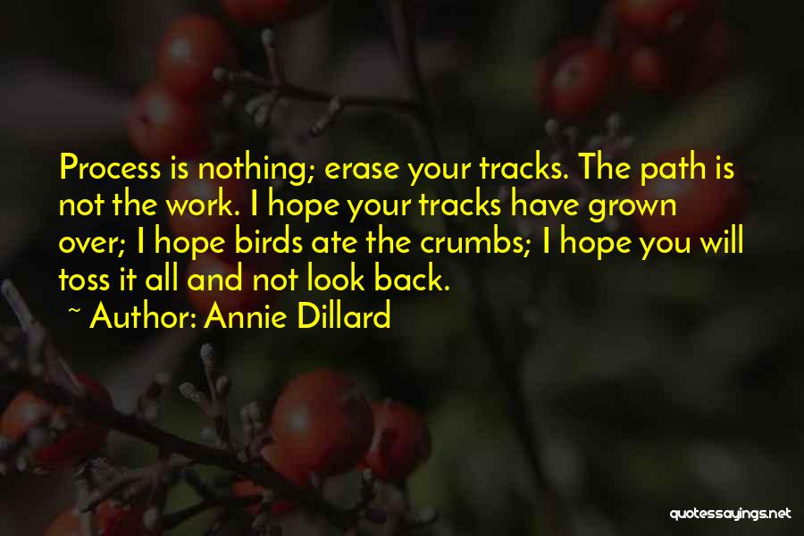 Annie Dillard Quotes: Process Is Nothing; Erase Your Tracks. The Path Is Not The Work. I Hope Your Tracks Have Grown Over; I