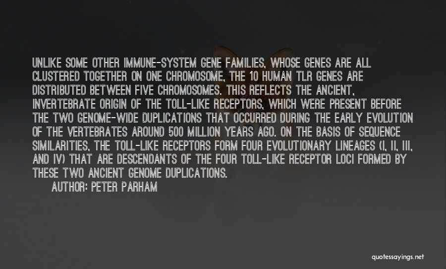 Peter Parham Quotes: Unlike Some Other Immune-system Gene Families, Whose Genes Are All Clustered Together On One Chromosome, The 10 Human Tlr Genes