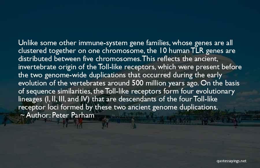 Peter Parham Quotes: Unlike Some Other Immune-system Gene Families, Whose Genes Are All Clustered Together On One Chromosome, The 10 Human Tlr Genes