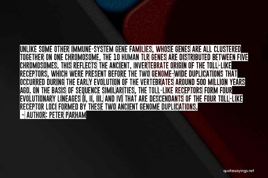Peter Parham Quotes: Unlike Some Other Immune-system Gene Families, Whose Genes Are All Clustered Together On One Chromosome, The 10 Human Tlr Genes