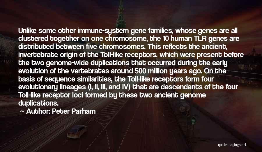 Peter Parham Quotes: Unlike Some Other Immune-system Gene Families, Whose Genes Are All Clustered Together On One Chromosome, The 10 Human Tlr Genes