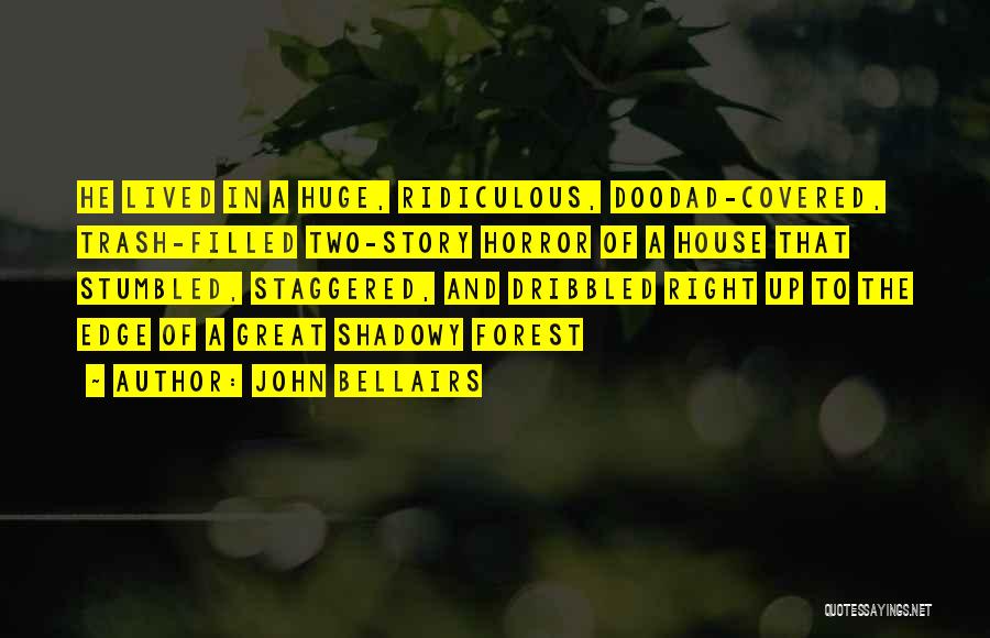 John Bellairs Quotes: He Lived In A Huge, Ridiculous, Doodad-covered, Trash-filled Two-story Horror Of A House That Stumbled, Staggered, And Dribbled Right Up