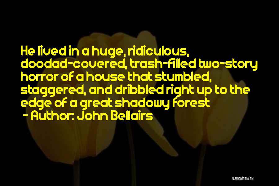 John Bellairs Quotes: He Lived In A Huge, Ridiculous, Doodad-covered, Trash-filled Two-story Horror Of A House That Stumbled, Staggered, And Dribbled Right Up