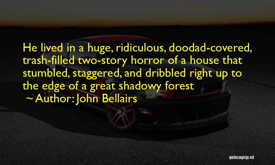 John Bellairs Quotes: He Lived In A Huge, Ridiculous, Doodad-covered, Trash-filled Two-story Horror Of A House That Stumbled, Staggered, And Dribbled Right Up