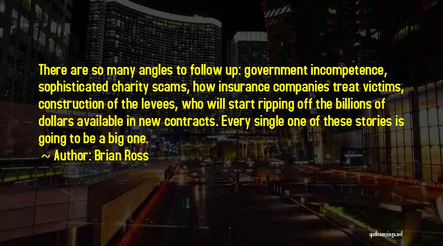 Brian Ross Quotes: There Are So Many Angles To Follow Up: Government Incompetence, Sophisticated Charity Scams, How Insurance Companies Treat Victims, Construction Of