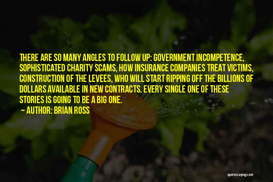 Brian Ross Quotes: There Are So Many Angles To Follow Up: Government Incompetence, Sophisticated Charity Scams, How Insurance Companies Treat Victims, Construction Of