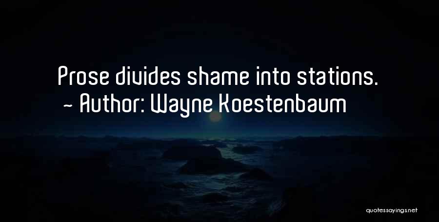 Wayne Koestenbaum Quotes: Prose Divides Shame Into Stations.