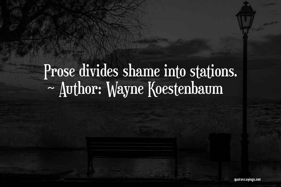 Wayne Koestenbaum Quotes: Prose Divides Shame Into Stations.