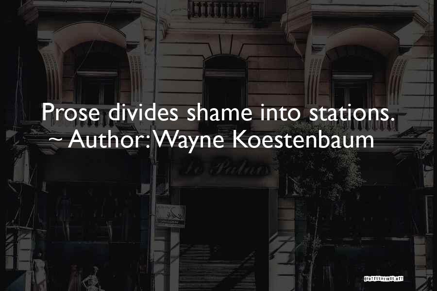 Wayne Koestenbaum Quotes: Prose Divides Shame Into Stations.