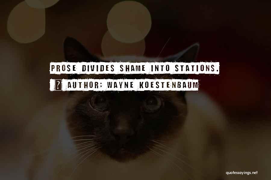 Wayne Koestenbaum Quotes: Prose Divides Shame Into Stations.