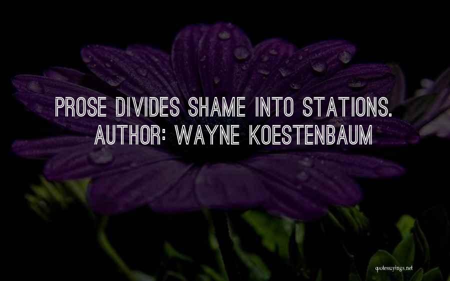 Wayne Koestenbaum Quotes: Prose Divides Shame Into Stations.