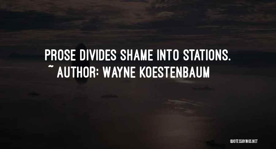 Wayne Koestenbaum Quotes: Prose Divides Shame Into Stations.