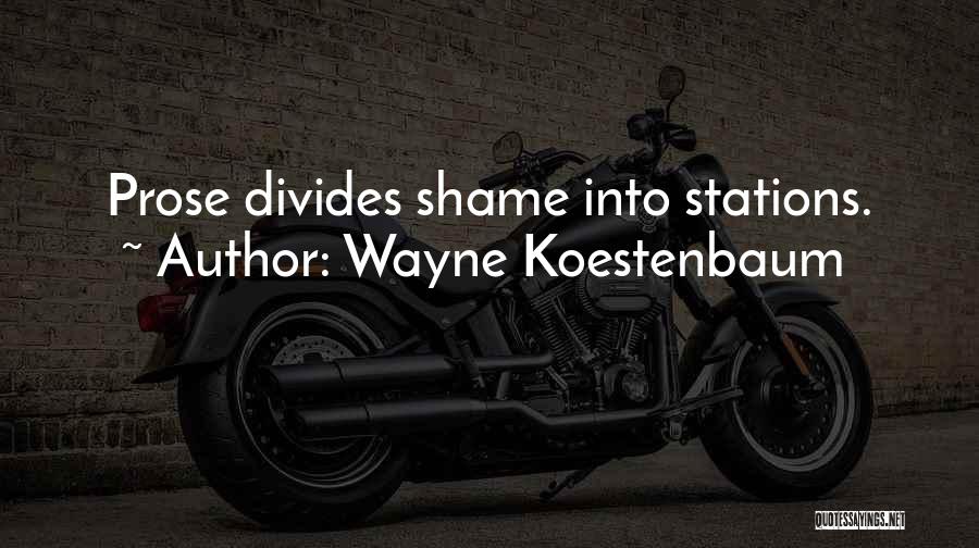 Wayne Koestenbaum Quotes: Prose Divides Shame Into Stations.