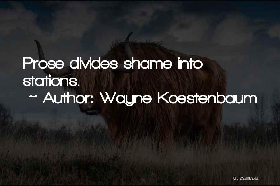 Wayne Koestenbaum Quotes: Prose Divides Shame Into Stations.