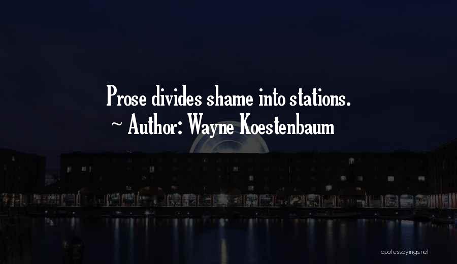 Wayne Koestenbaum Quotes: Prose Divides Shame Into Stations.