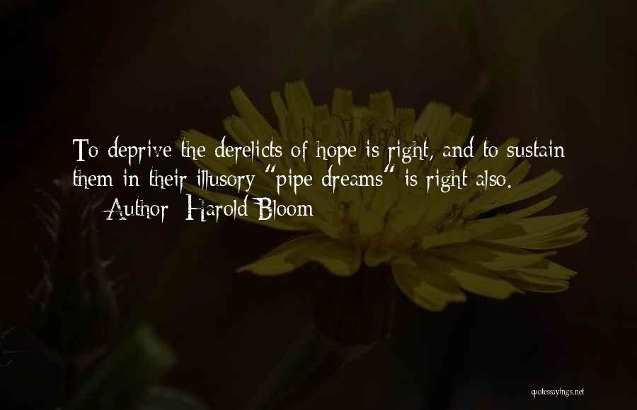 Harold Bloom Quotes: To Deprive The Derelicts Of Hope Is Right, And To Sustain Them In Their Illusory Pipe Dreams Is Right Also.