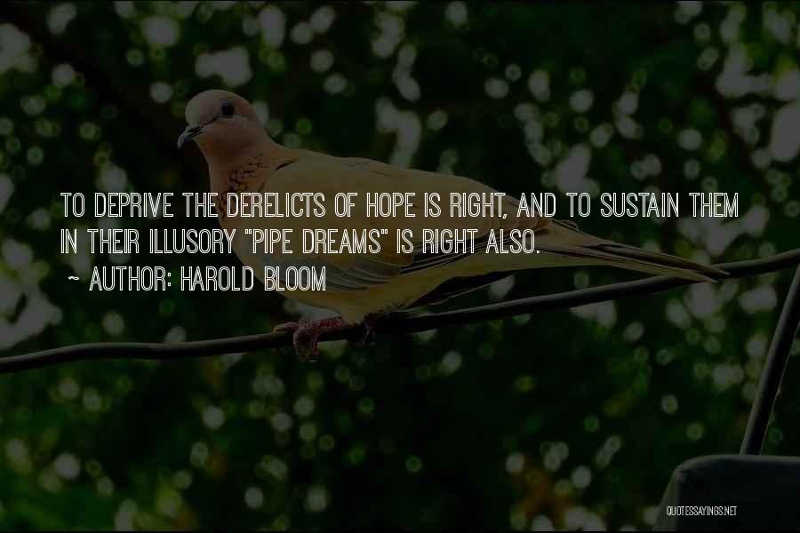 Harold Bloom Quotes: To Deprive The Derelicts Of Hope Is Right, And To Sustain Them In Their Illusory Pipe Dreams Is Right Also.