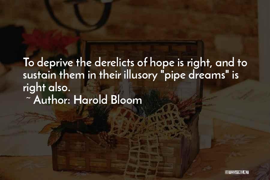 Harold Bloom Quotes: To Deprive The Derelicts Of Hope Is Right, And To Sustain Them In Their Illusory Pipe Dreams Is Right Also.