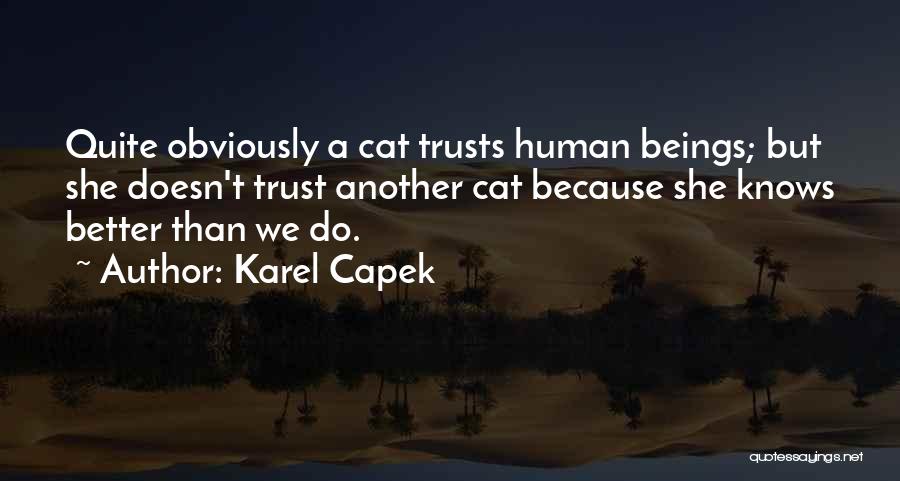 Karel Capek Quotes: Quite Obviously A Cat Trusts Human Beings; But She Doesn't Trust Another Cat Because She Knows Better Than We Do.