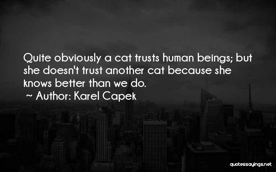 Karel Capek Quotes: Quite Obviously A Cat Trusts Human Beings; But She Doesn't Trust Another Cat Because She Knows Better Than We Do.