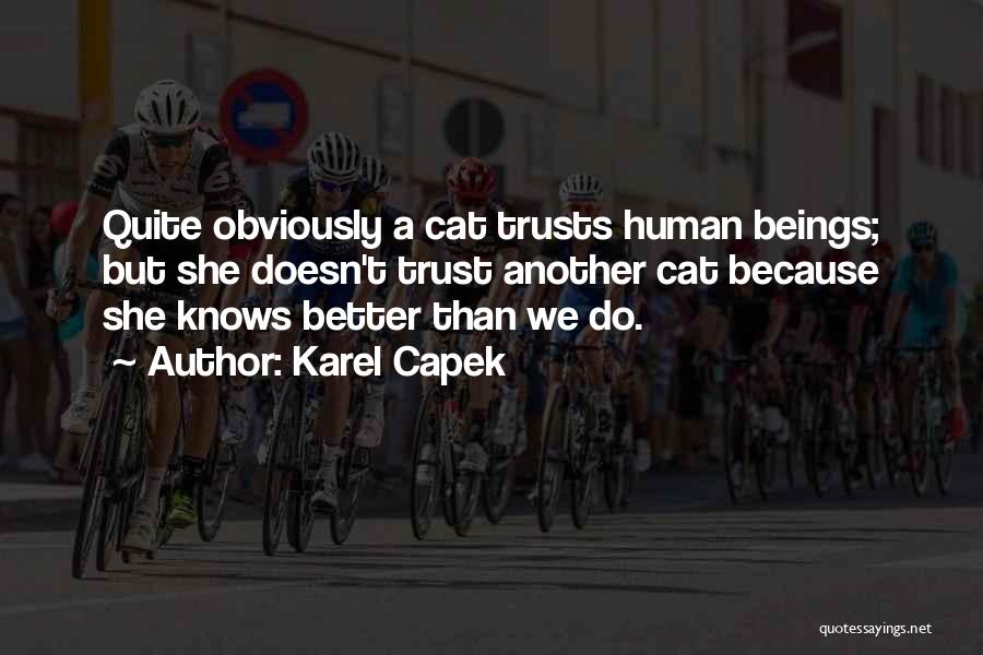 Karel Capek Quotes: Quite Obviously A Cat Trusts Human Beings; But She Doesn't Trust Another Cat Because She Knows Better Than We Do.