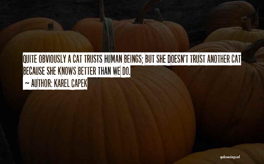 Karel Capek Quotes: Quite Obviously A Cat Trusts Human Beings; But She Doesn't Trust Another Cat Because She Knows Better Than We Do.