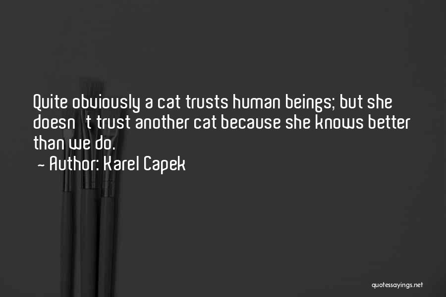 Karel Capek Quotes: Quite Obviously A Cat Trusts Human Beings; But She Doesn't Trust Another Cat Because She Knows Better Than We Do.