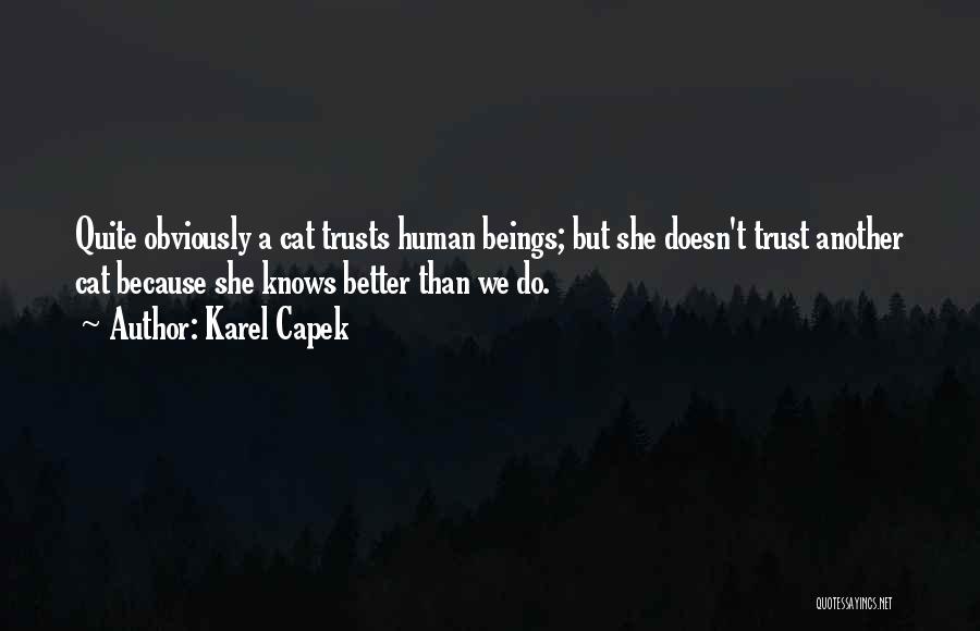 Karel Capek Quotes: Quite Obviously A Cat Trusts Human Beings; But She Doesn't Trust Another Cat Because She Knows Better Than We Do.