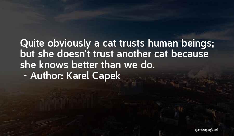 Karel Capek Quotes: Quite Obviously A Cat Trusts Human Beings; But She Doesn't Trust Another Cat Because She Knows Better Than We Do.